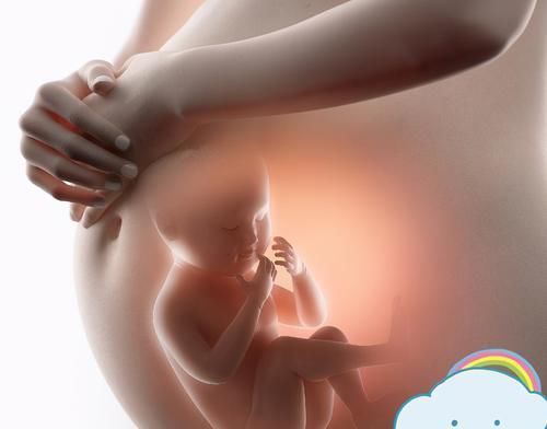 圆圆|为什么新生儿抱着睡得香,放下就醒呢?这三大原因,宝妈要知晓!