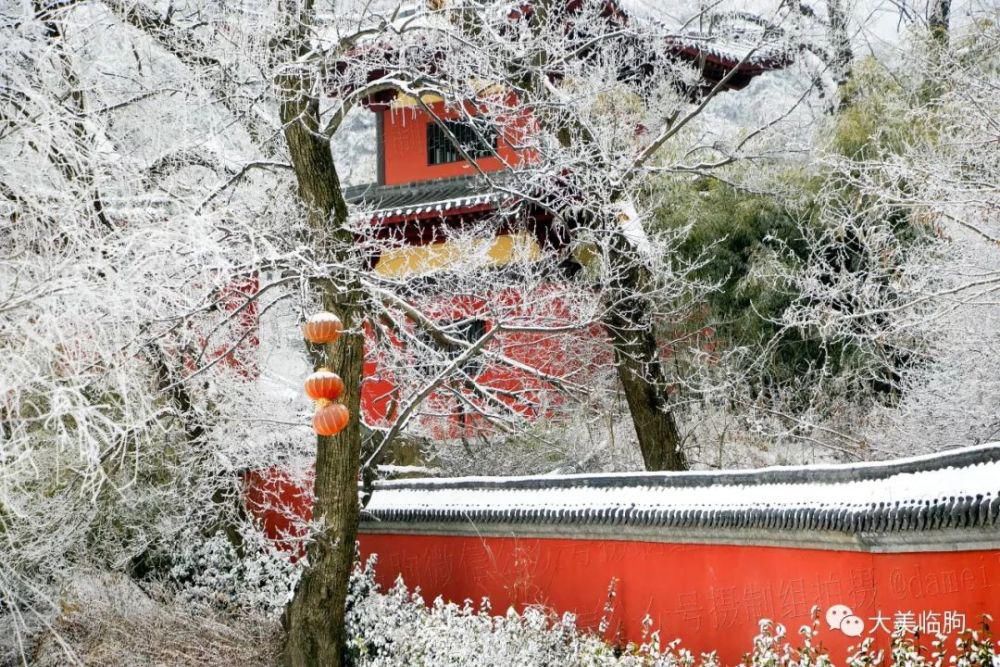 临朐的雪，看看俊不俊？