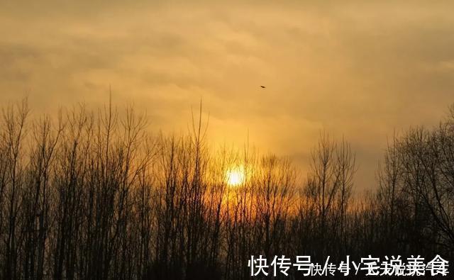 诗词@十首落日诗词:莫道桑榆晚,为霞尚满天