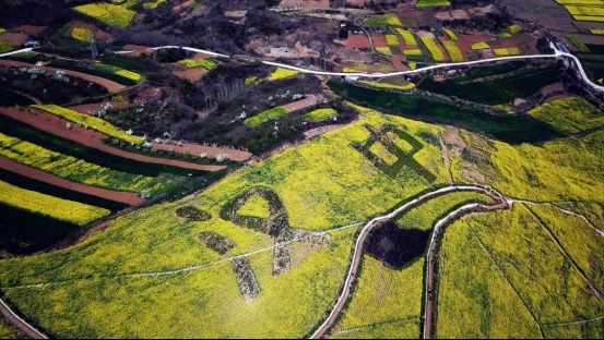 老年|三月是属于油菜花的季节,国内这些油菜花美景地你去过几个?