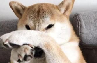 牛奶是“发物”吗?生病的时候能不能喝?