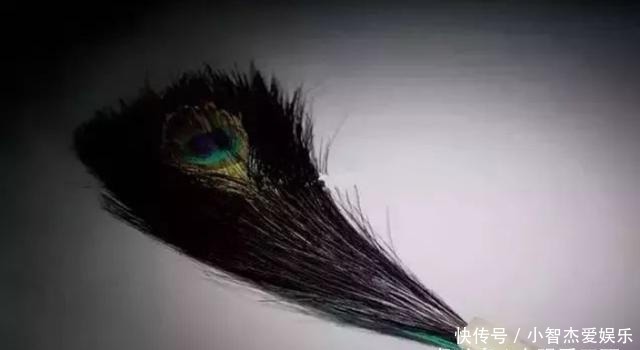 和珅收藏了846个翎管,你知道什么是翎管?