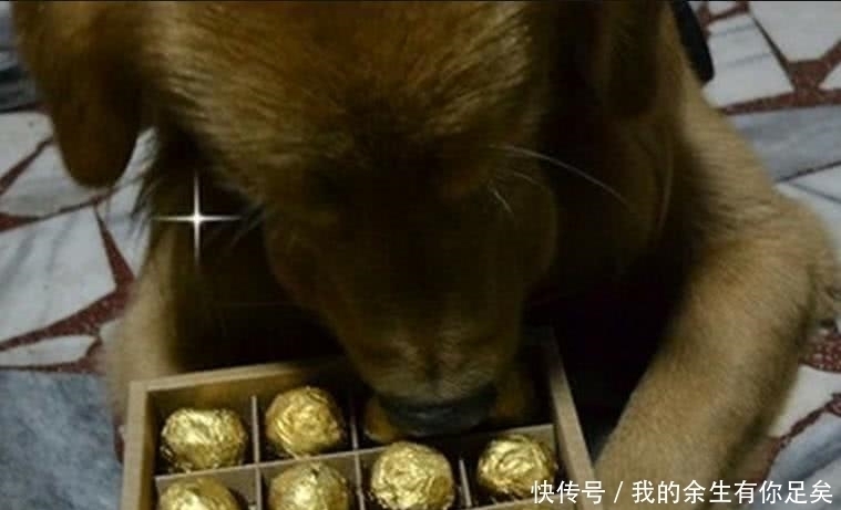 血管|超实用的冷知识,近视眼的人这样做,视野就能马上变清晰!