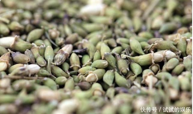 血管|95岁老中医分享血管堵了,别害怕多做3件事,医院也少跑