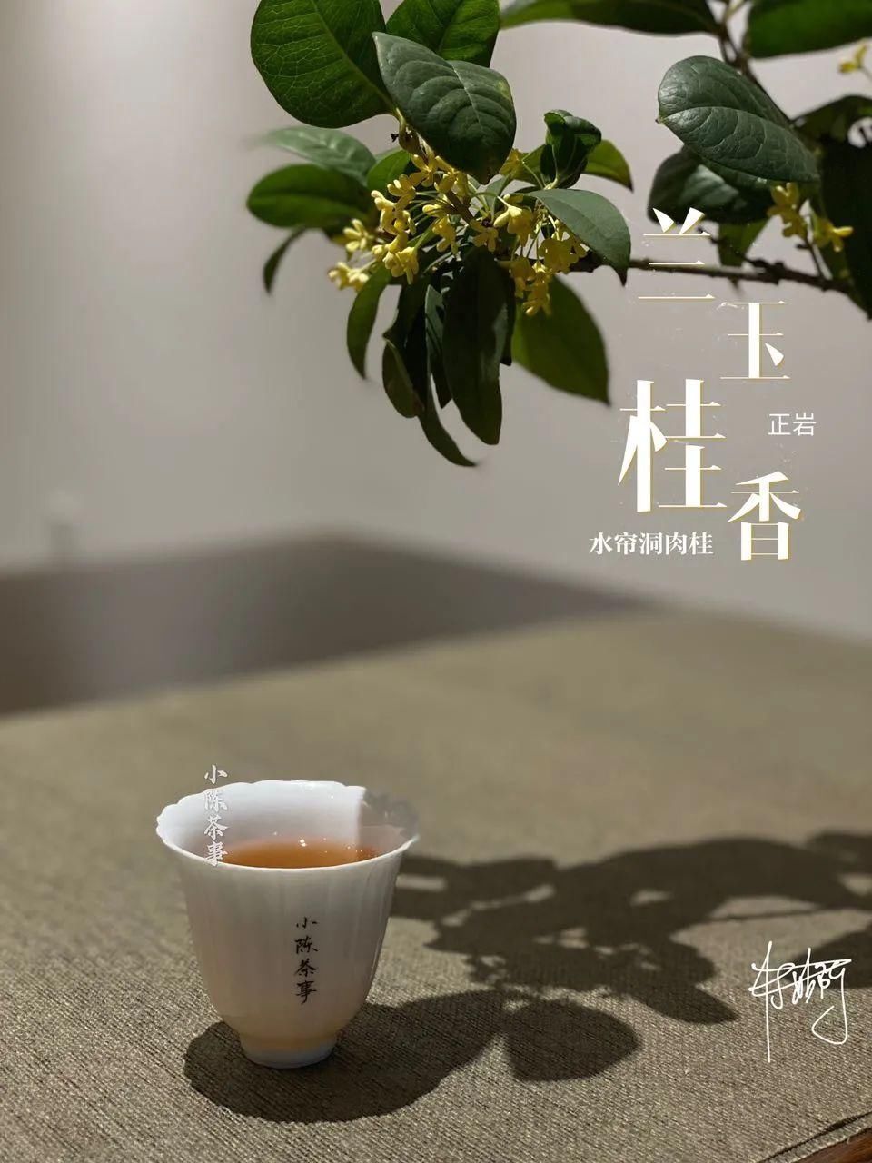 学术讨论|武夷岩茶还魂汤的学术讨论,专家不喝,茶客必留,这是为什么呢