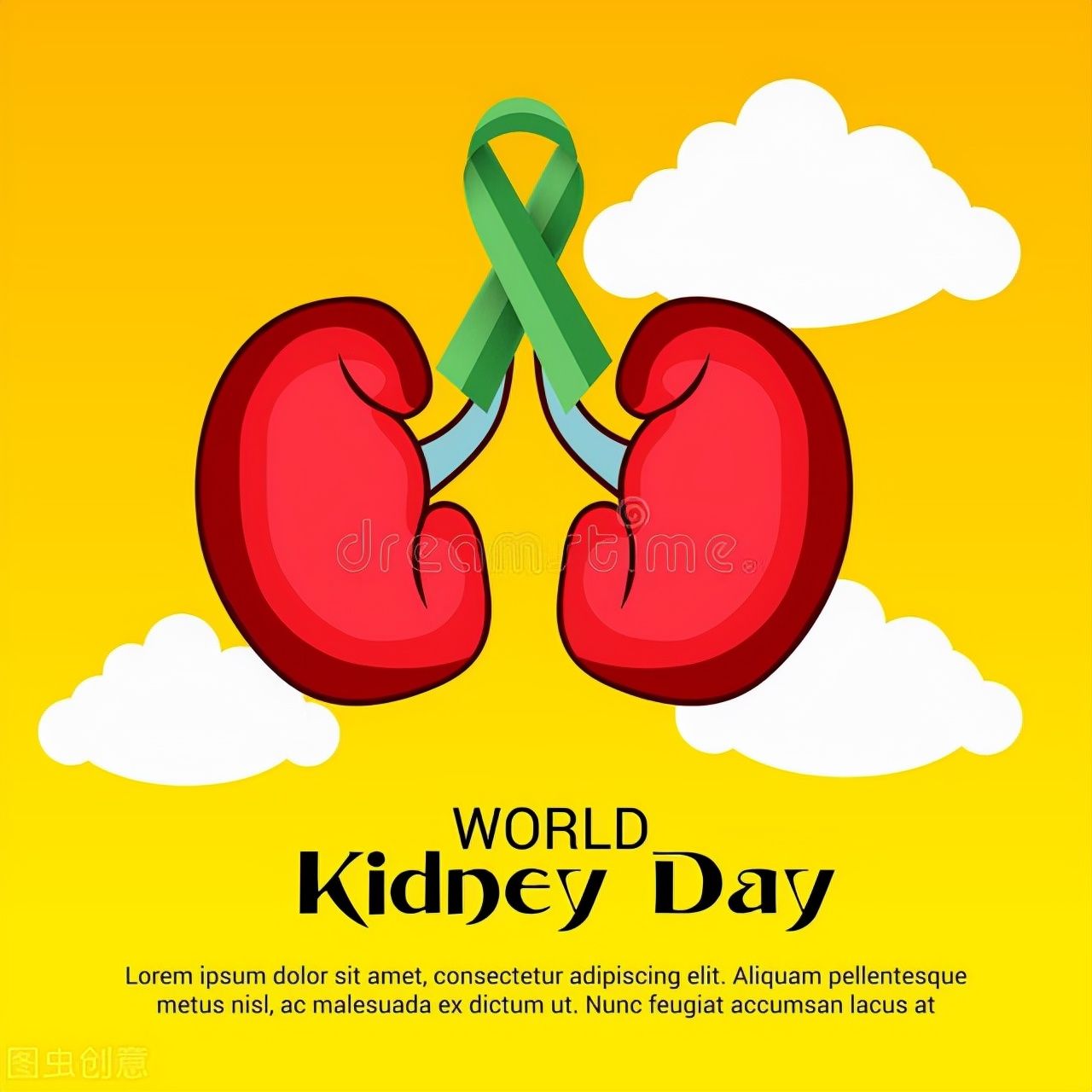 Which diseases need to be tested for renal function? How do you see the results of renal function? A nephrologist explains it all at once