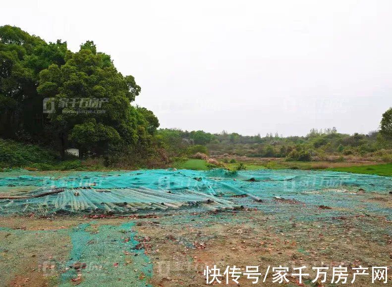 出让|引爆浔城！浔阳古城项目落锤！土拍6连击！揽狂8.47亿