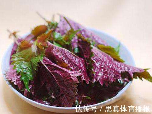 人参草|乡下田间地头常见的“紫苏”,8大功效,教你全部吃出来!