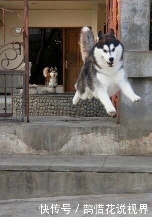 补血|红瓶的喝了补血，蓝瓶的喝了补钙