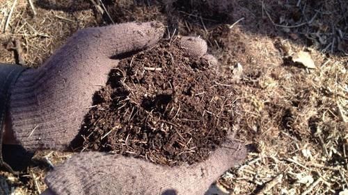 3种土，不要钱也别用来养花，养啥都长不好，白费力！