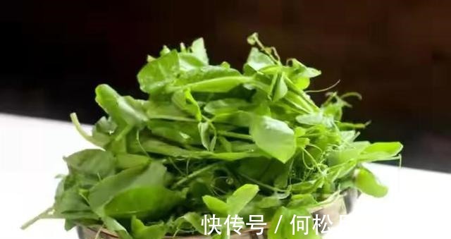 江南人|60种常见野菜，高清大图，收集全了真不容易！