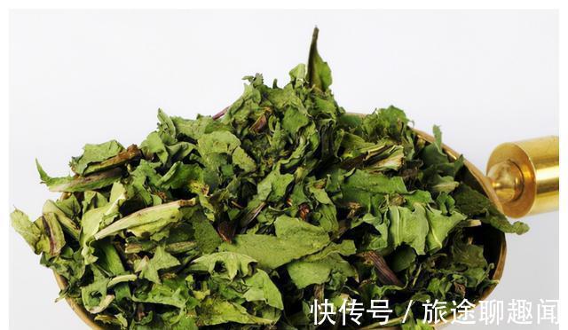 蒲公英|中药又立功?蒲公英可杀死98%癌细胞、消结节?真相是咋样的?