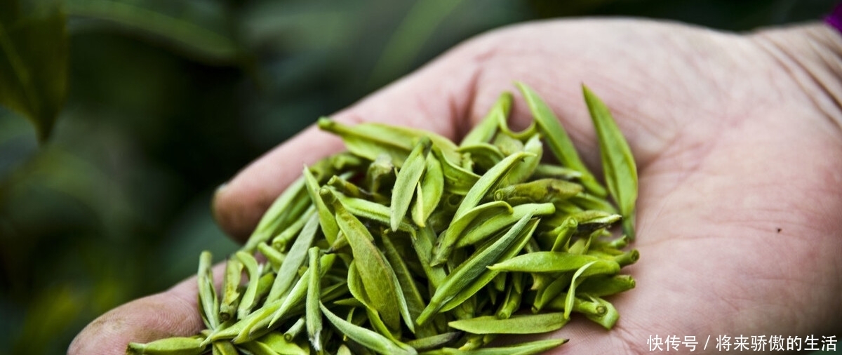 为什么现在都买不到好茶叶了?