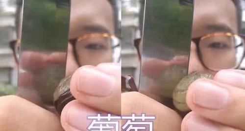 万物|万物皆可削皮忍了鸡蛋,忍了榴莲,看到最后直接献上“膝盖”