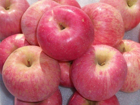 胆汁|中老年人多吃此“长寿果”,3大好处“找上门”,为健康请了解下