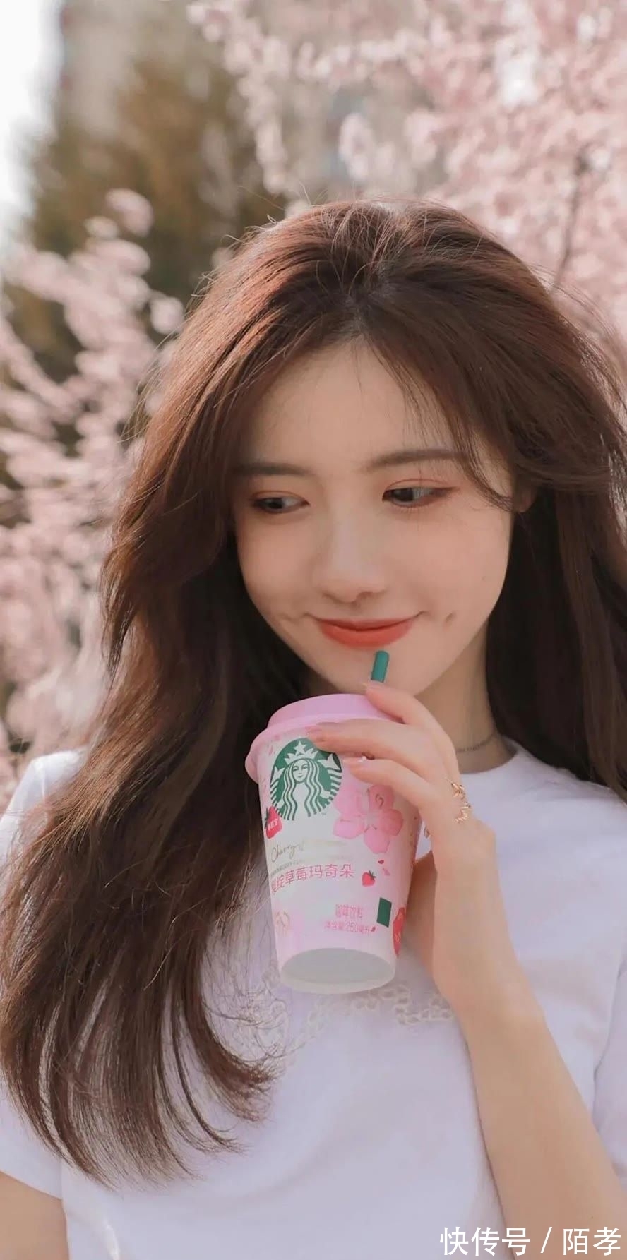 「壁纸」好在这一生兜兜转转,也曾被你温柔相待过