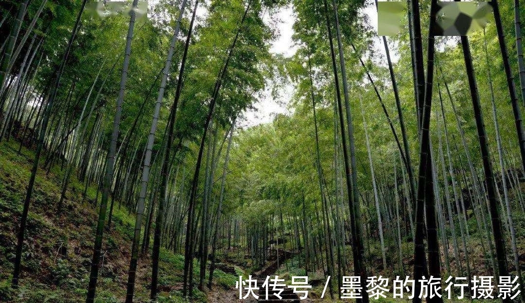 孟浩然!与山有关的10大名诗排行榜,李白《独坐敬亭山》仅第四,前三呢?