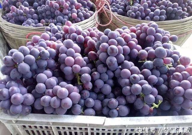 女性不想老太快,推荐多吃几种食物,美容养颜、早吃早好早受益