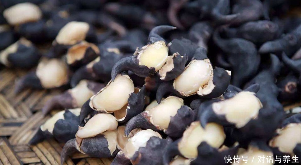 泛滥成灾|印度从中国引进一种植物,穷苦百姓非常喜欢,现在却要泛滥成灾了