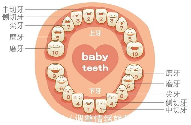 牙齿|原来门牙真的可以“笑”掉,男孩拔牙时头一抬门牙就掉了,一脸懵