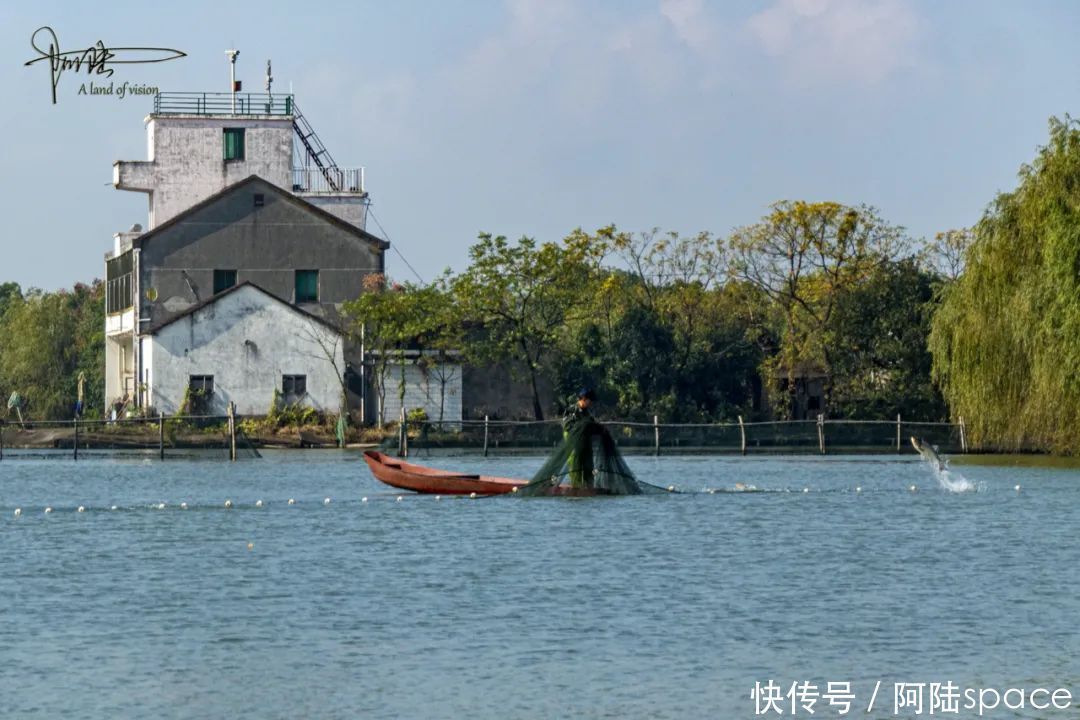 白塔|白塔湖里有个桃花岛，可以现场观看当地村民捕鱼，场面极为壮观