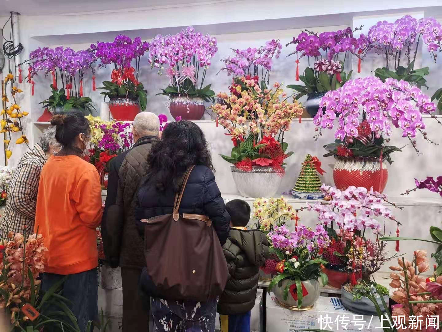  上海中心城区这个花市春节不打烊，“宅家中，在鲜花旁喝下午茶，挺好”