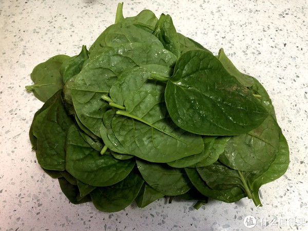 炒木耳菜|它是蔬菜界的“榴莲”，味道怪怪的，一吃就上瘾，清脆滑嫩特好吃