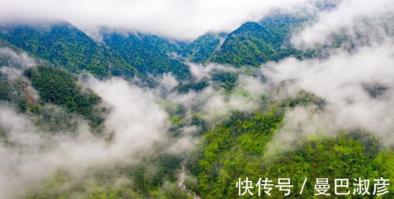 避暑胜地|中国最美的高山草甸，被称为绿色天堂，是著名的避暑胜地