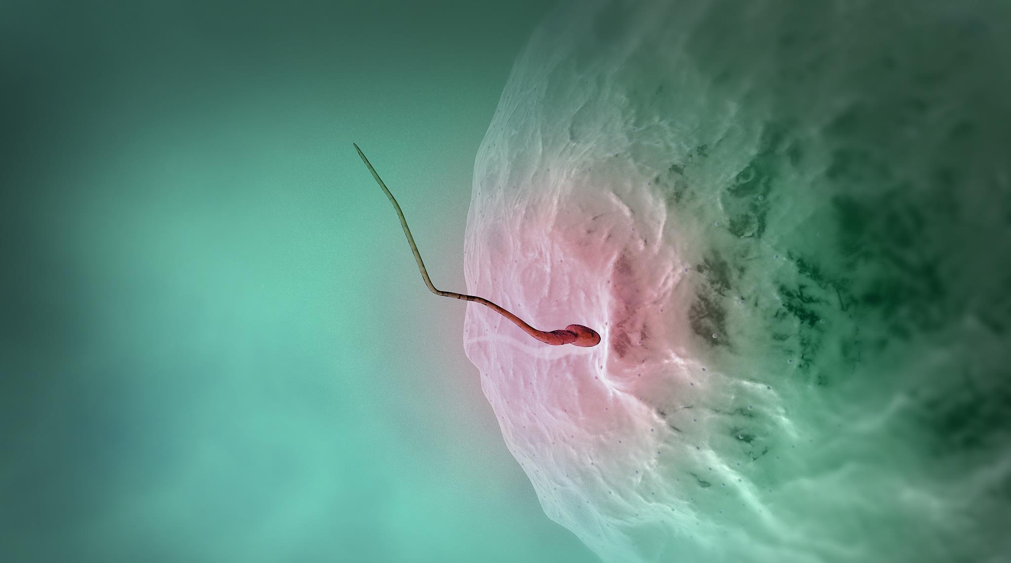 怀孕|受精卵着床有什么症状很多人都不知道!