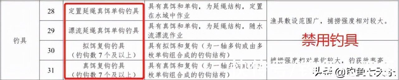 禁用|注意！12月1日起，这四类渔具将被禁用，钓鱼人要注意了