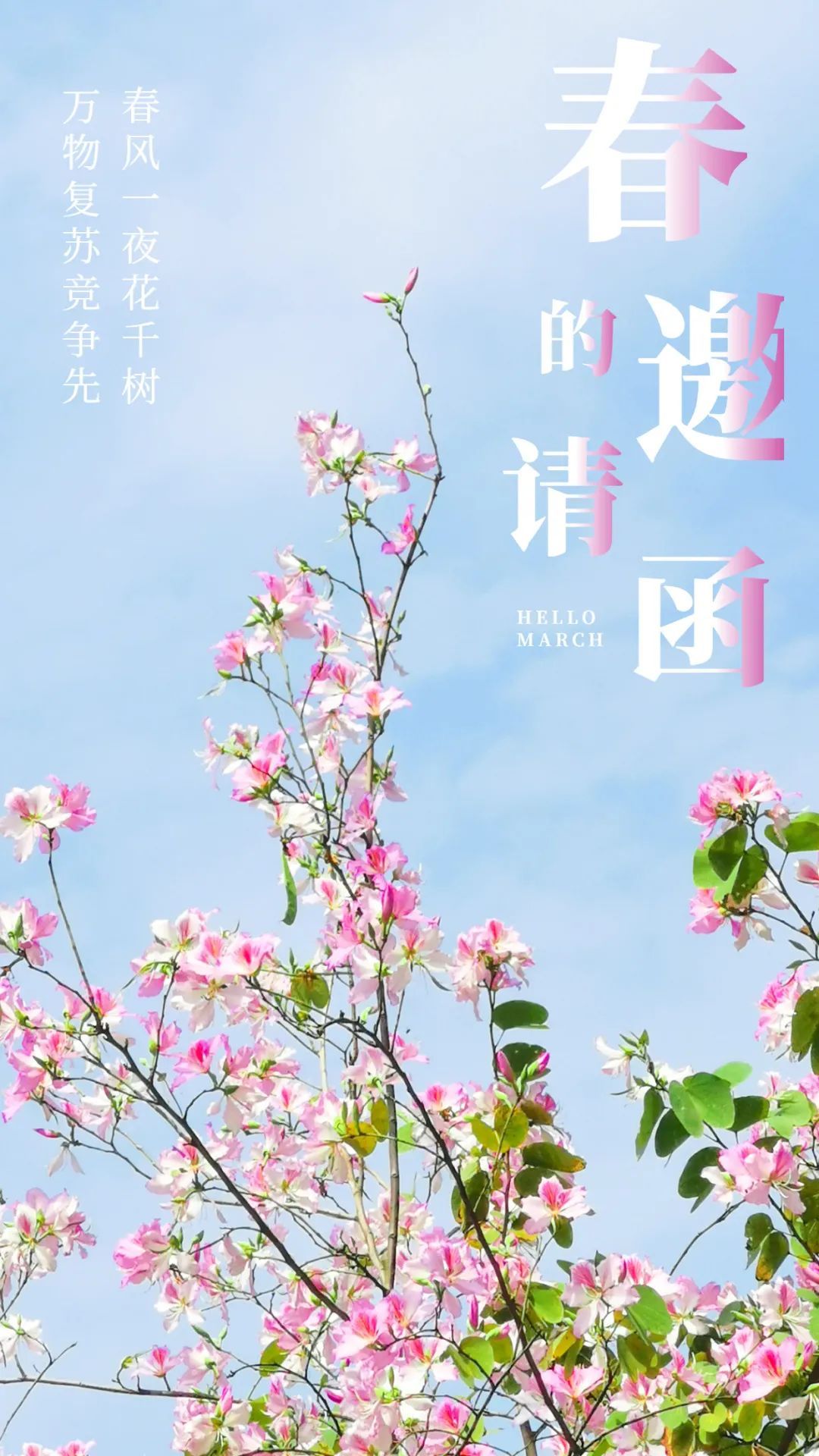 走，一起来看深圳的“花花世界”