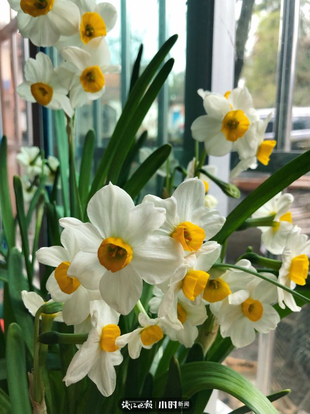 开工第一天 满目春色入镜来，摄友说我们每天都“开工”