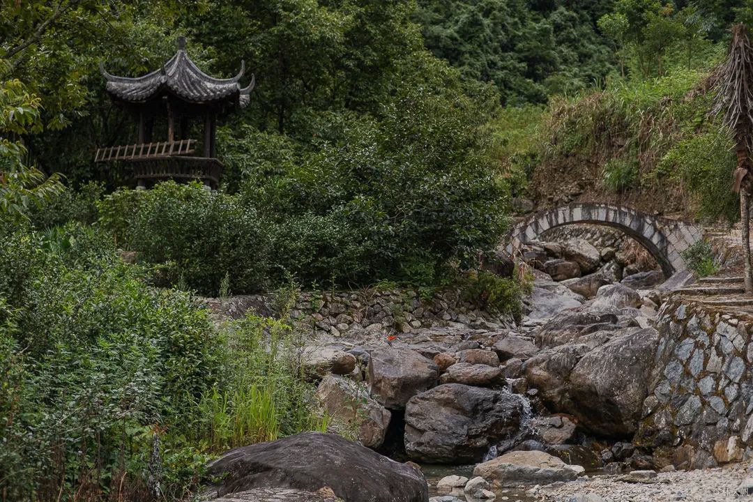 居所|太拉風(fēng)了！螞蟻探路帶領(lǐng)房車露營真人秀節(jié)目慶元拍攝圓滿殺青