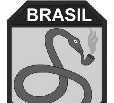 吸烟|二战中的巴西远征军，为什么被称之为“吸烟的眼镜蛇”