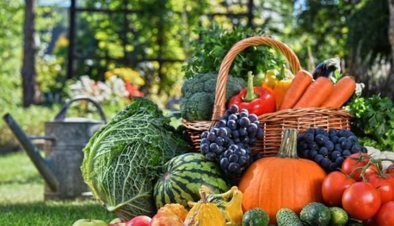 网上购物|电商卖家透露:这6种商品尽量不要在网上购买,不然吃亏的是自己