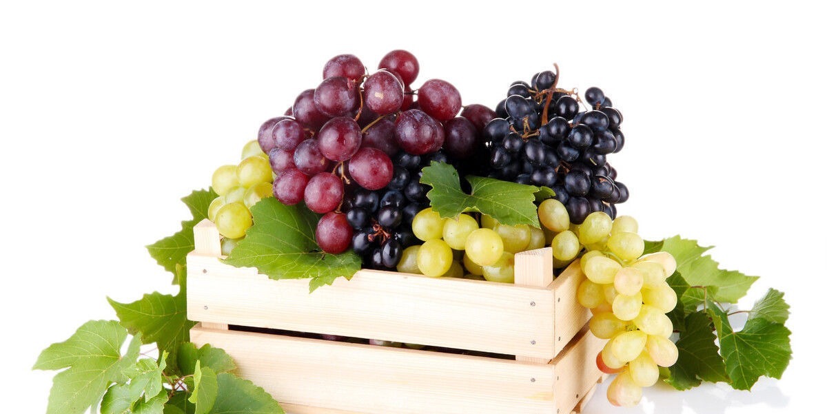 血糖控制|糖尿病究竟能不能吃水果？2万人的研究显示：对血糖控制有效果