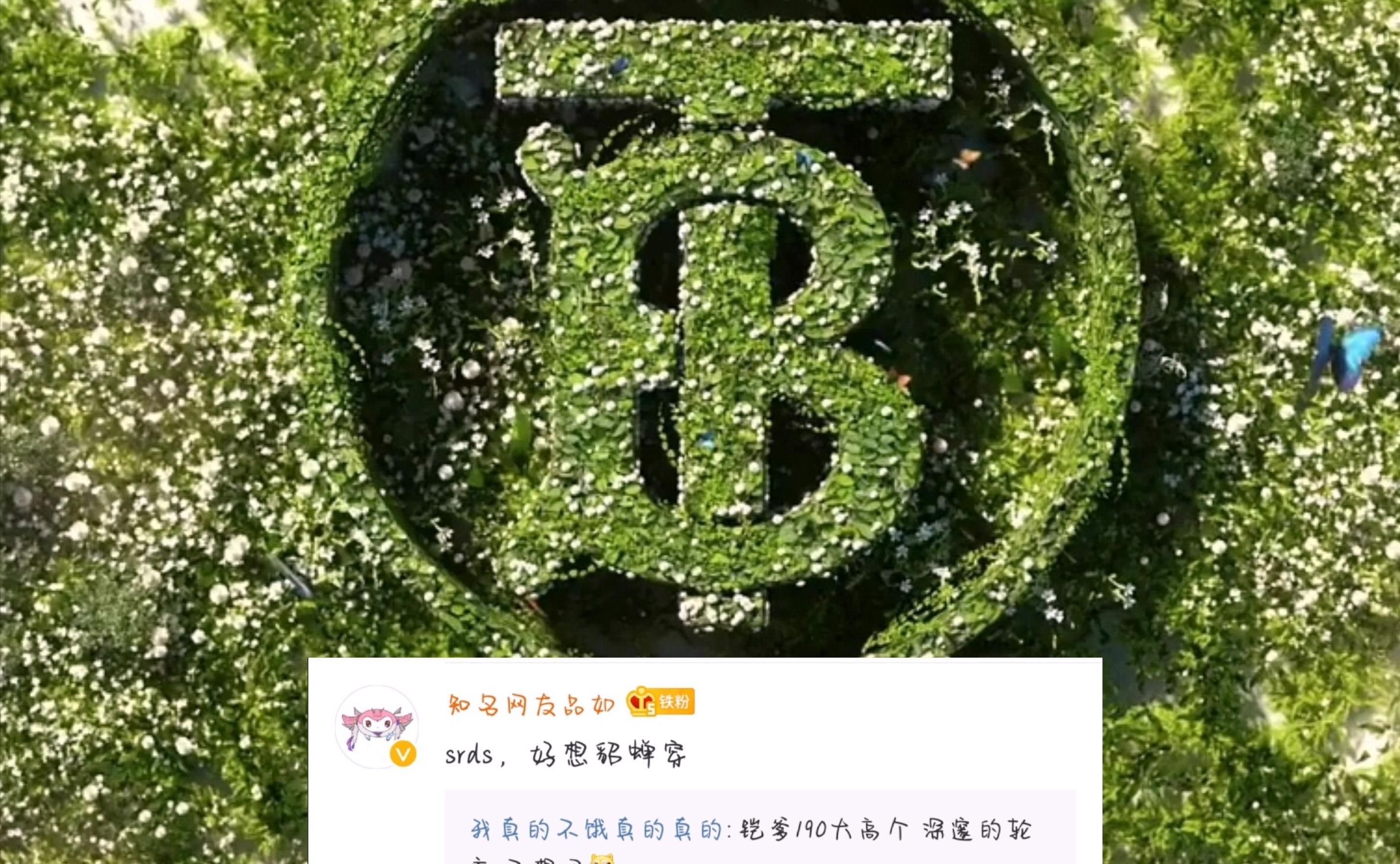 貂蝉|云中君六元皮肤12号后上线，语音投票二选一，貂蝉再续联动皮肤