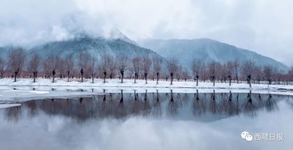 越深|越往深冬，雪越深，林芝越纯真！