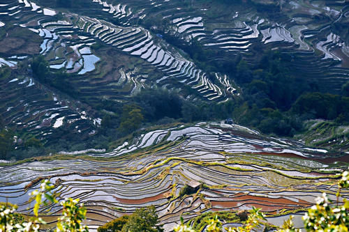 元阳坝达梯田景区，最佳日落观景点，可惜运气差了一点点