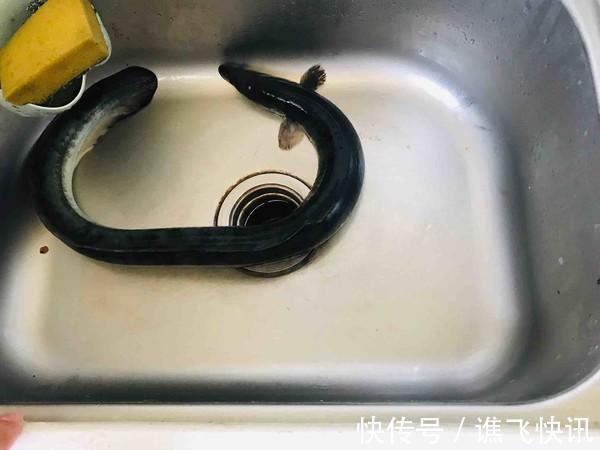 儿子|儿子15岁,身高已经一米八,只因常吃这道菜,身高长得飞快