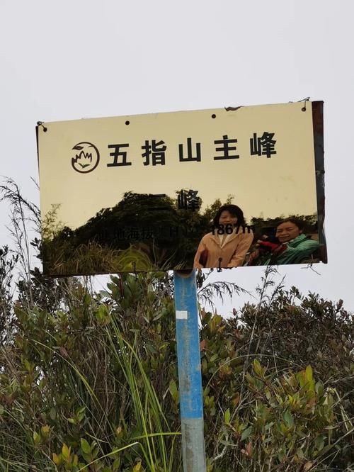 推荐几款低脂高营养的运动零食