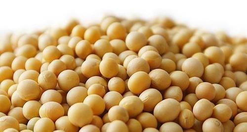 食物|人到中年,推荐常吃3种食物,补气益血,延缓衰老,补益身体