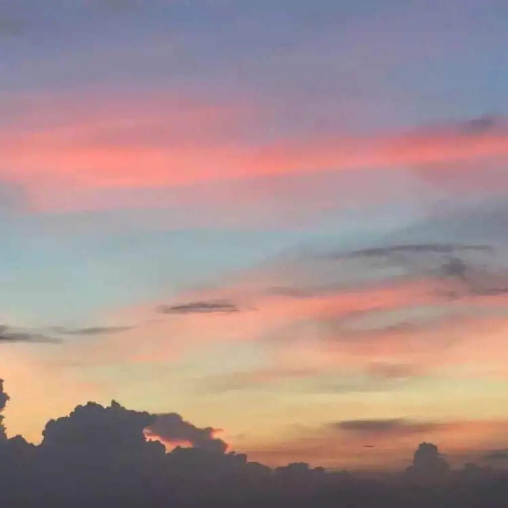 漫山遍野|你是盛开着的，漫山遍野的温柔