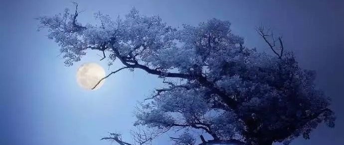 吴文英!50句美到极致的古诗词,每一句都饱含深情,总有一句击中你的内心