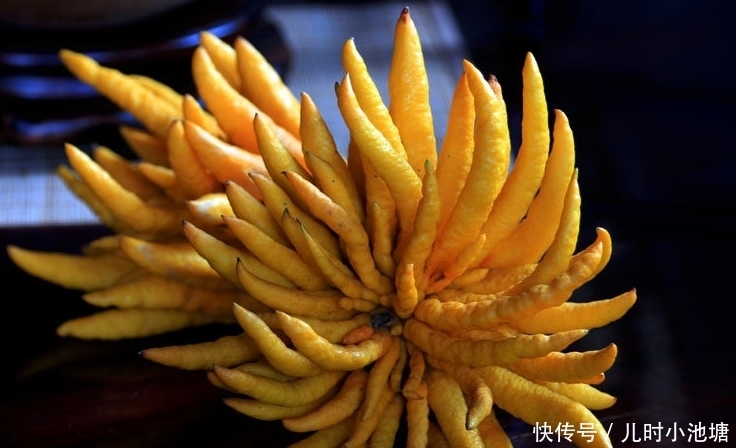 消化|农村这些野菜,营养丰富,并具有食疗作用,能促进消化