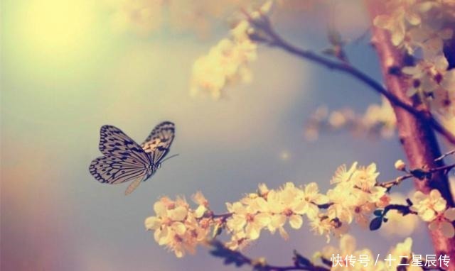 花前|男人对爱有多坚定一首流传千年的经典,9个字道尽世间多少痴情