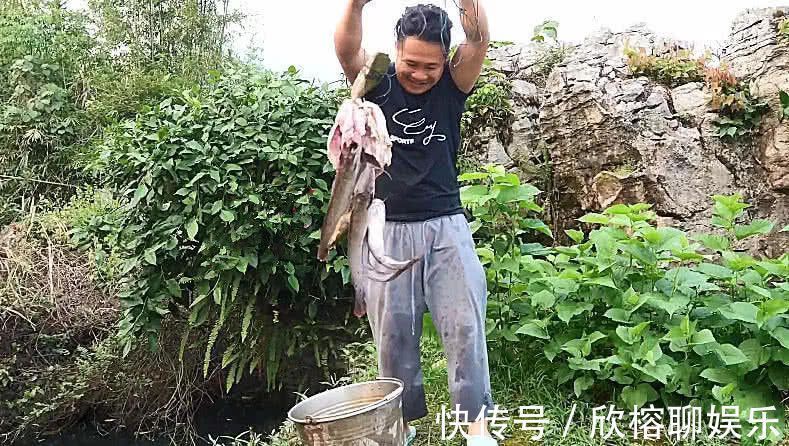 肠胃功能紊乱|小伙钓鱼时扔了块猪肺到河里,大家很疑惑,一会后又都来围观