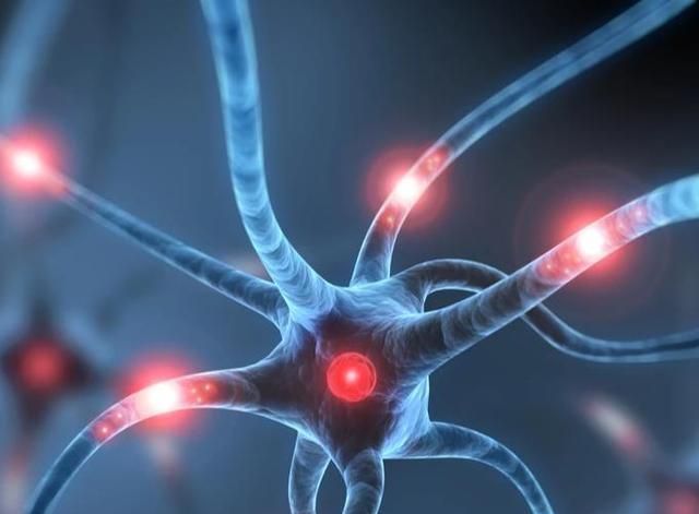 宝宝|0~6岁大脑发育黄金期,教你提升宝宝的三大能力,让娃更聪明!