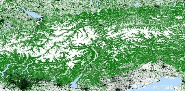 巴西 卫星对准全球森林!中国大半领土都“绿”,德国巴西发现新砍伐区