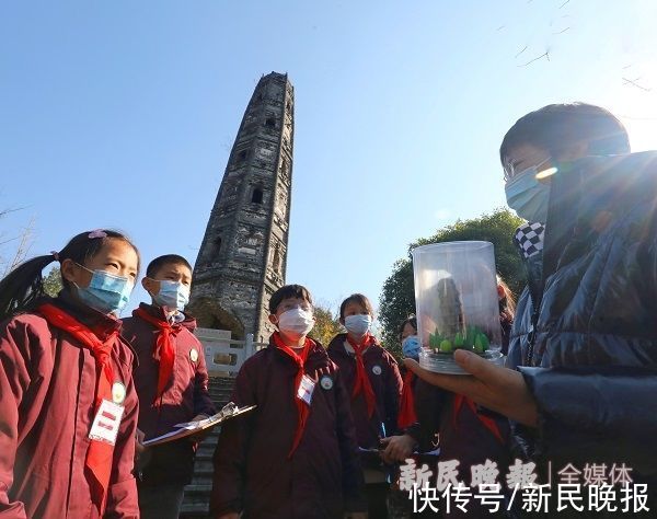 杨春燕|小学生向松江区文保所提交护珠塔探究报告 千年斜塔有了童心护塔方案